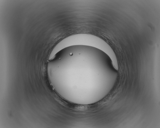 X0000111590084200908131350