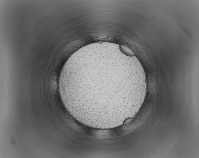 X0000111590085200908131350