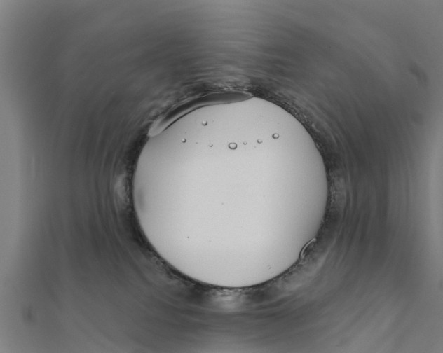 X0000111590088200908131350