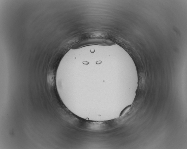 X0000111590090200908131350
