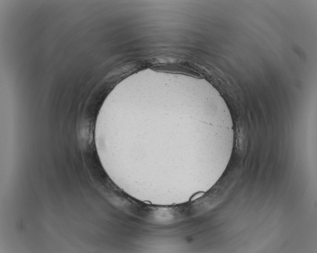X0000111590091200908131350