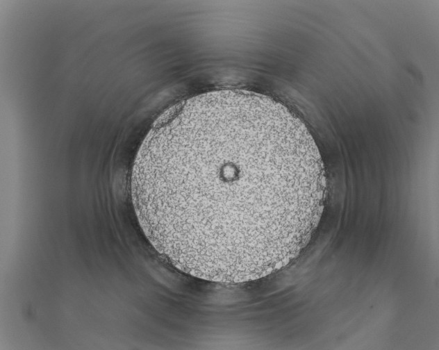 X0000111590093200908131350