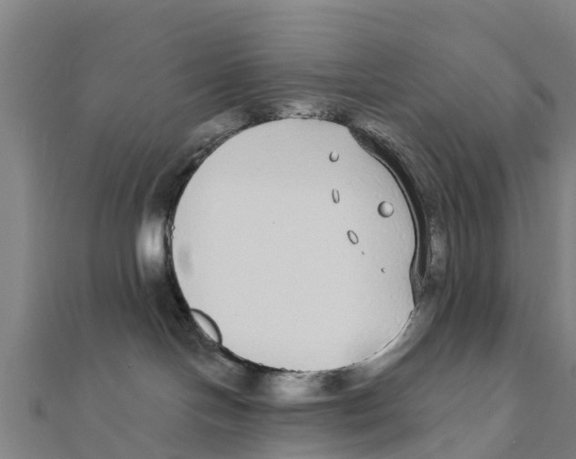 X0000111590094200908131350