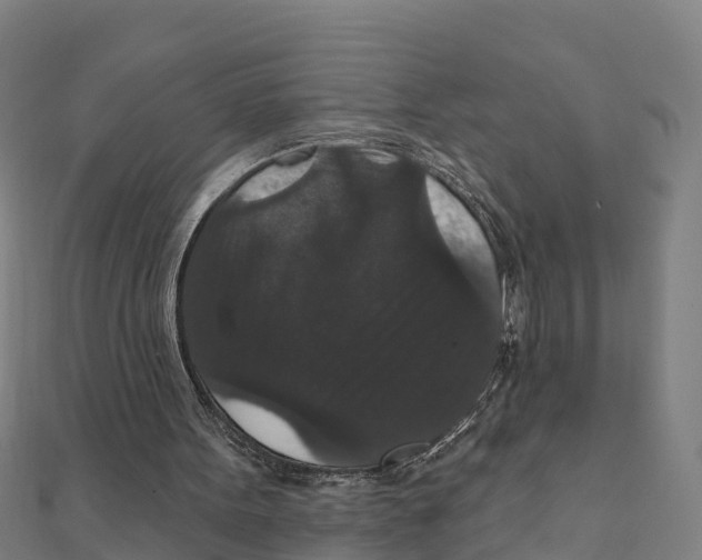 X0000111590099200908131349