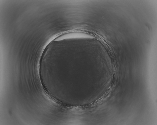 X0000111590100200908131349