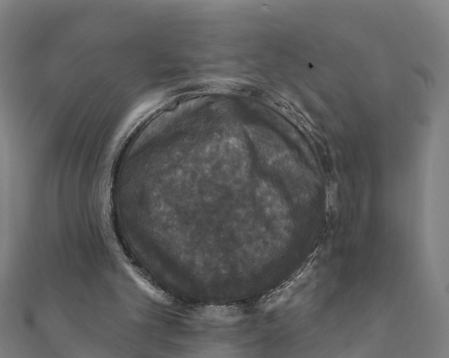 X0000111590101200908131349