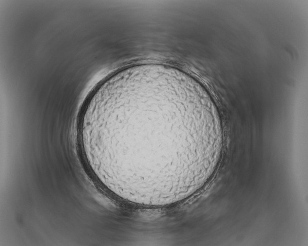 X0000111590102200908131349