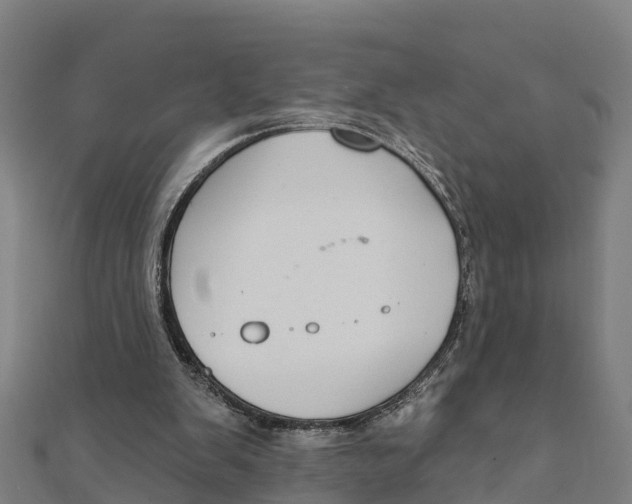 X0000111590103200908131349