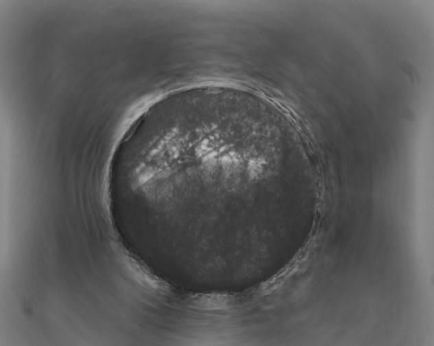 X0000111590104200908131349