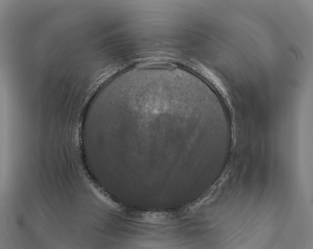 X0000111590105200908131349