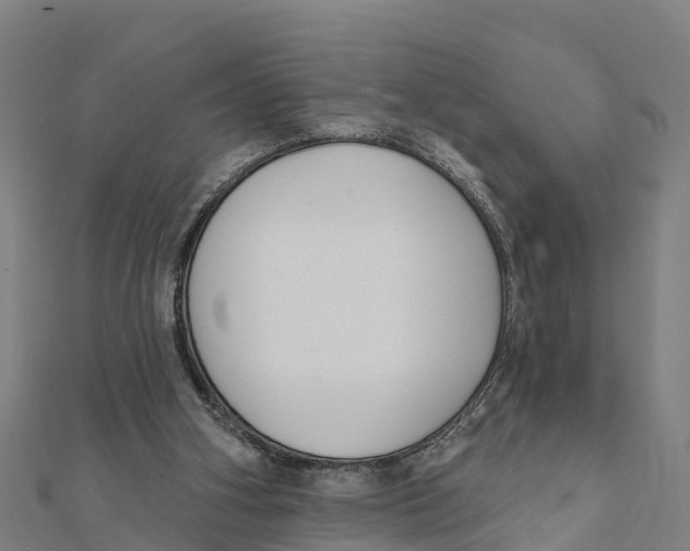 X0000111590106200908131349