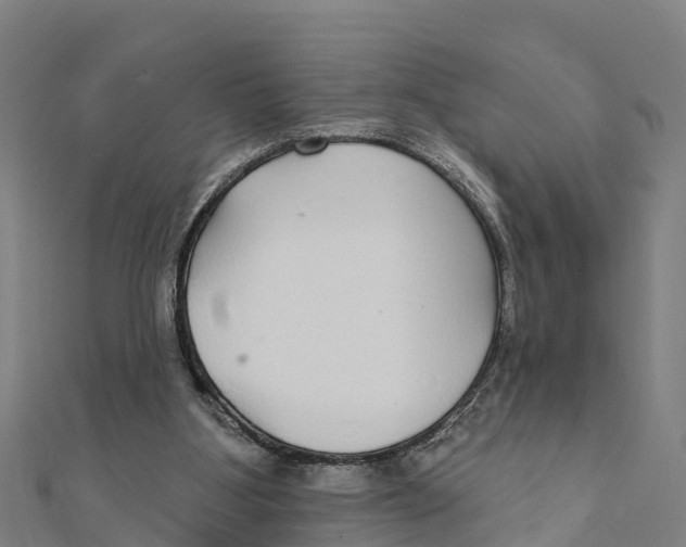 X0000111590107200908131349