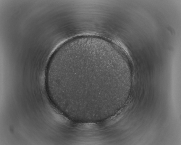X0000111590108200908131349