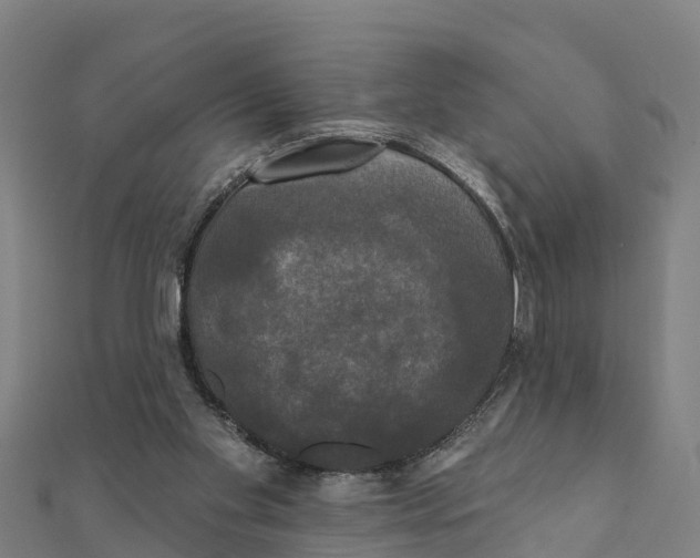 X0000111590109200908131349