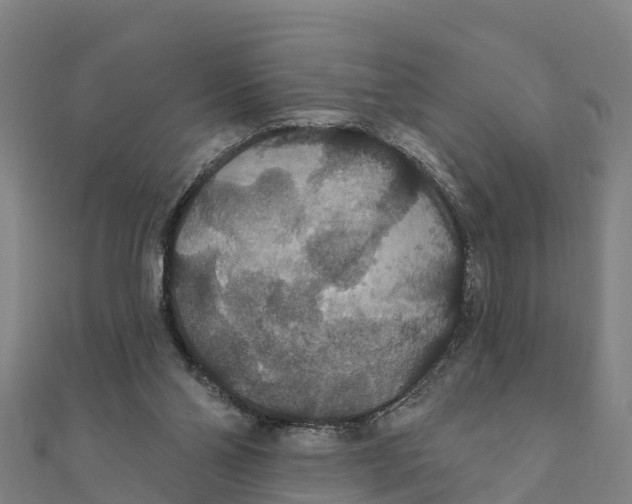 X0000111590110200908131349