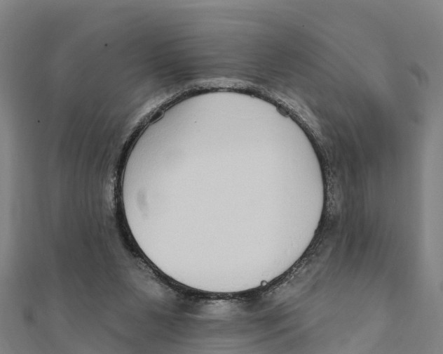 X0000111590111200908131349