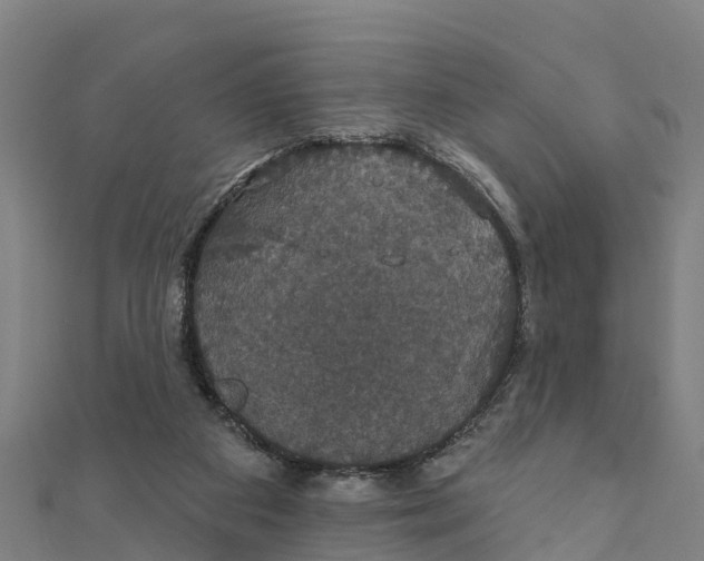 X0000111590113200908131349