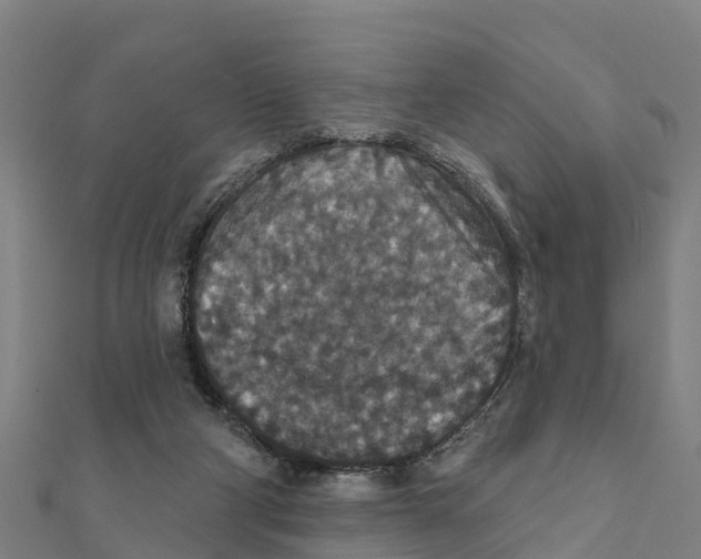 X0000111590114200908131349
