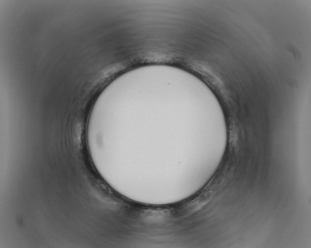 X0000111590115200908131349