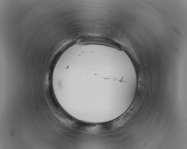 X0000111590116200908131349