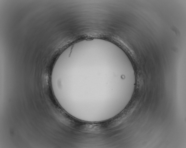 X0000111590117200908131349