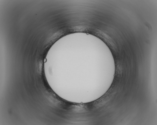 X0000111590118200908131349