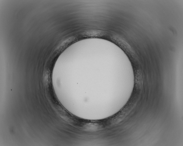 X0000111590119200908131349
