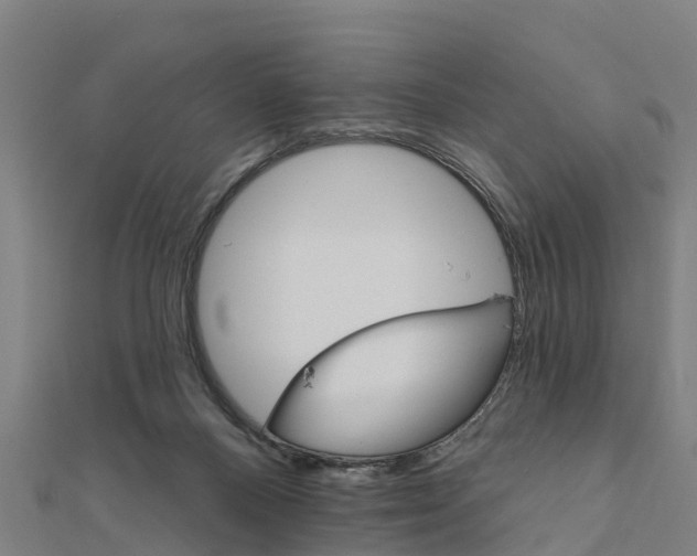 X0000111590120200908131349