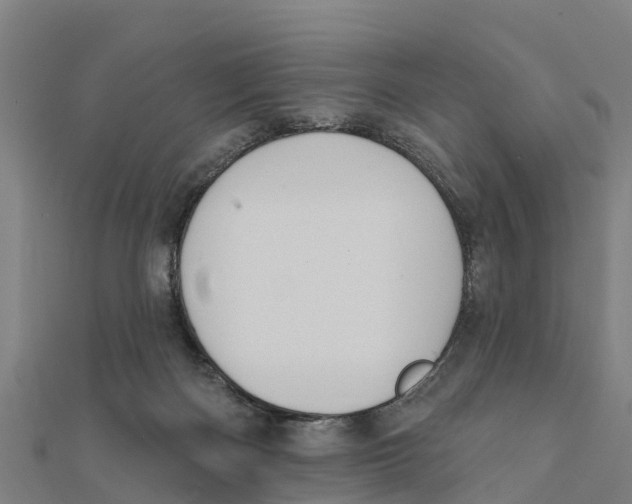 X0000111590122200908131349