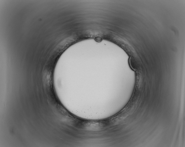 X0000111590123200908131349
