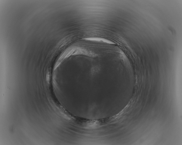 X0000111590124200908131349