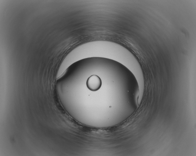 X0000111590125200908131349