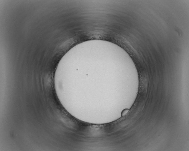 X0000111590126200908131349