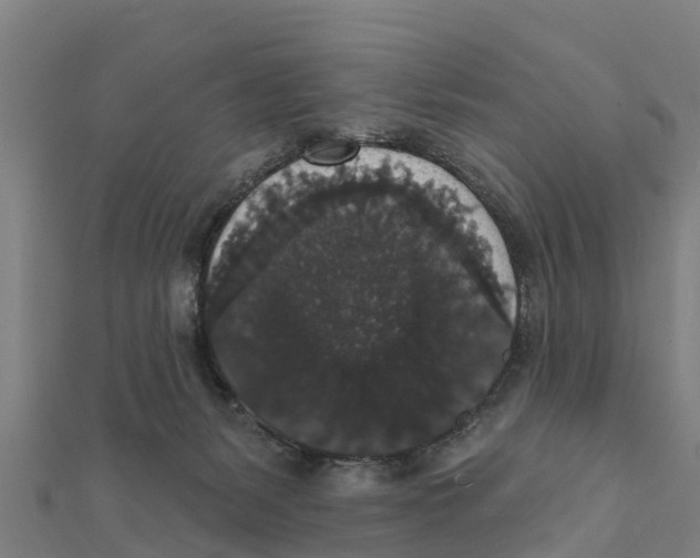 X0000111590127200908131349