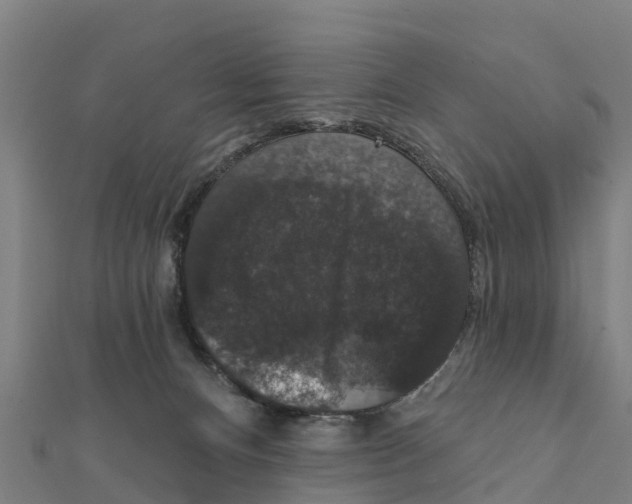 X0000111590128200908131349