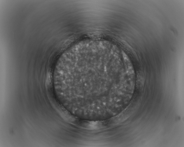 X0000111590130200908131349