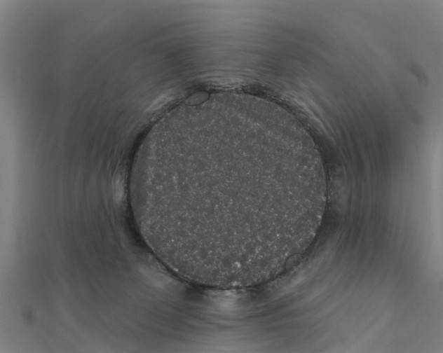 X0000111590131200908131349