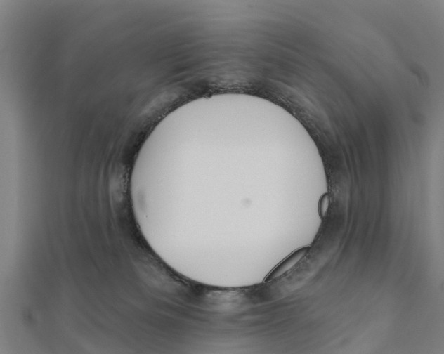 X0000111590133200908131349