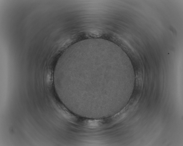 X0000111590134200908131349