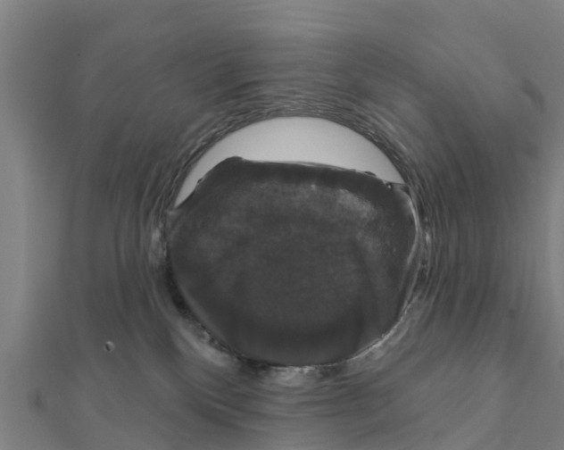 X0000111590136200908131349