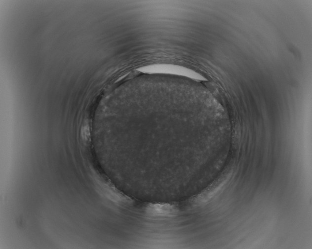 X0000111590137200908131349