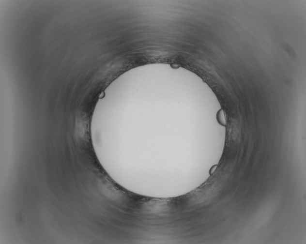 X0000111590138200908131349
