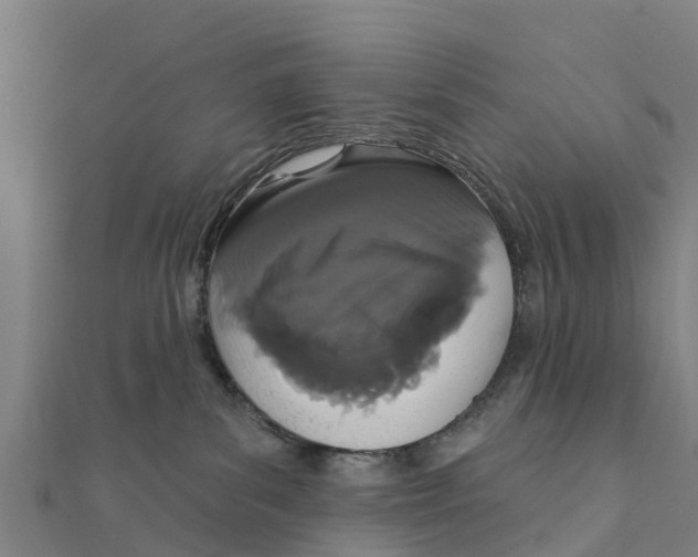 X0000111590139200908131349