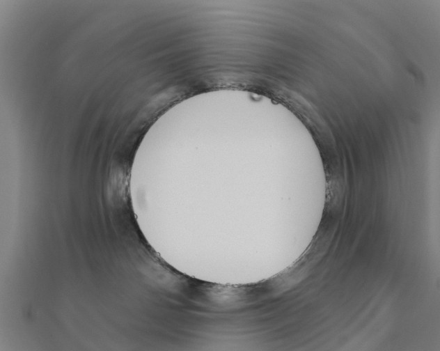 X0000111590142200908131349