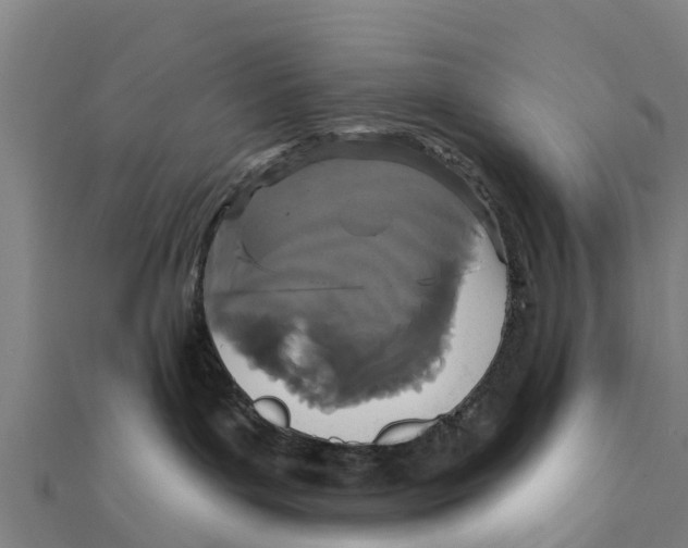 X0000111590143200908131349