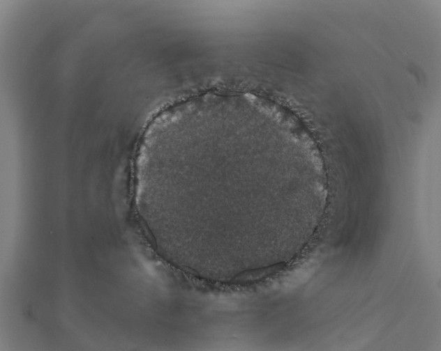 X0000111590144200908131349