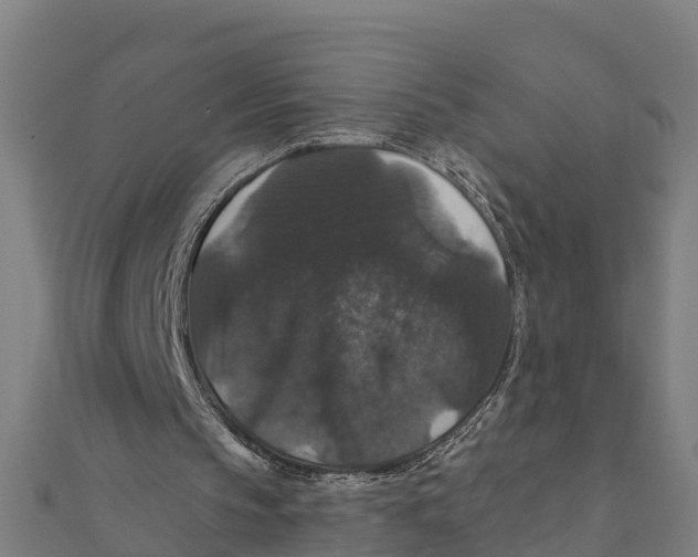 X0000111590145200908131348