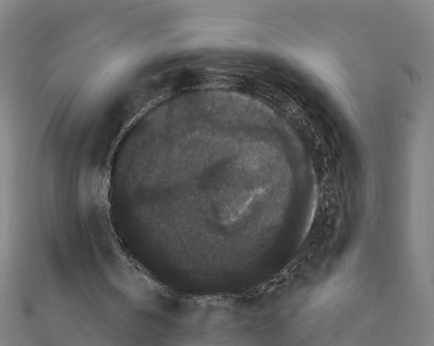 X0000111590146200908131348