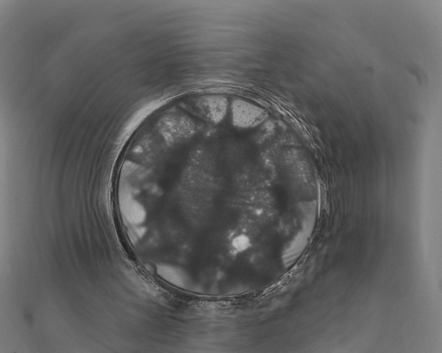 X0000111590147200908131348