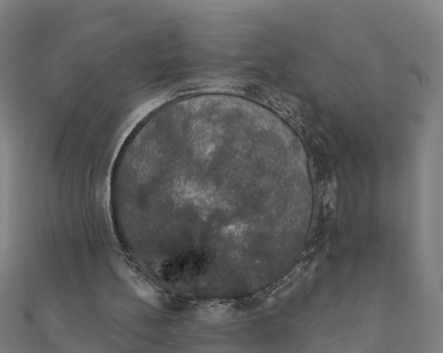 X0000111590148200908131348